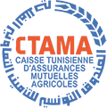 logo assurance CTAMA