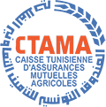 logo CTAMA